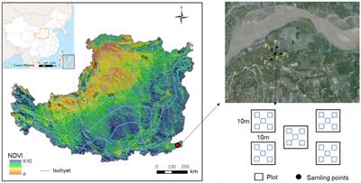 Effects of cropland-to-orchard conversion on soil multifunctionality, particularly nitrogen cycling in the eastern Loess Plateau